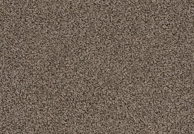 Anderson Tuftex Carpet Bali Cave