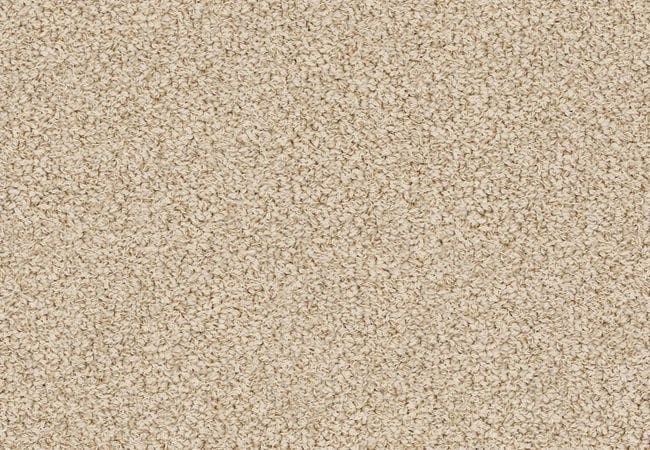 Anderson Tuftex Carpet Bali Summertime