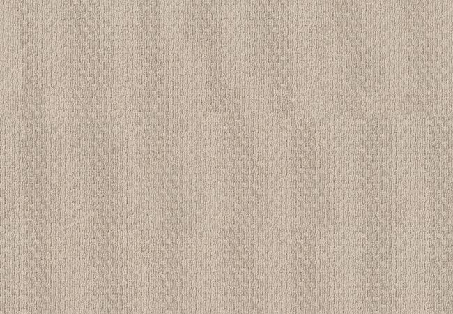 Anderson Tuftex Carpet Chapel Ridge Brushed Ivory