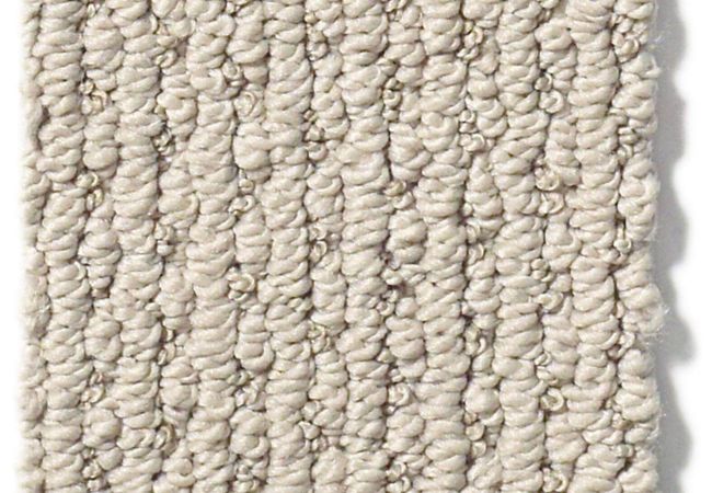 Anderson Tuftex Carpet Chapel Ridge Cement