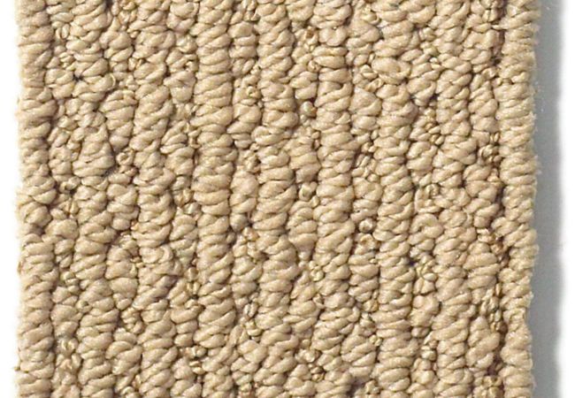 Anderson Tuftex Carpet Chapel Ridge Chamois