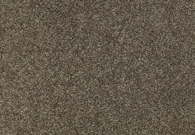 Anderson Tuftex Carpet Chapel Ridge Charcoal