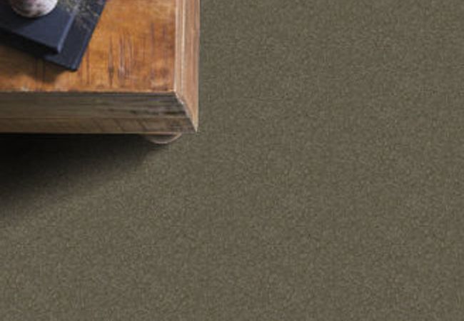 Anderson Tuftex Carpet Chapel Ridge Charcoal view 2