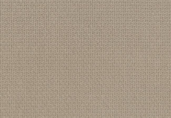 Anderson Tuftex Carpet Chapel Ridge Chic Cream