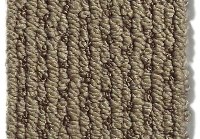 Anderson Tuftex Carpet Chapel Ridge Clay