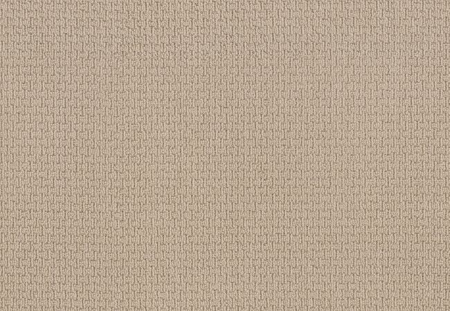 Anderson Tuftex Carpet Chapel Ridge Dream Dust
