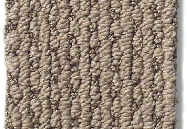 Anderson Tuftex Carpet Chapel Ridge Sable