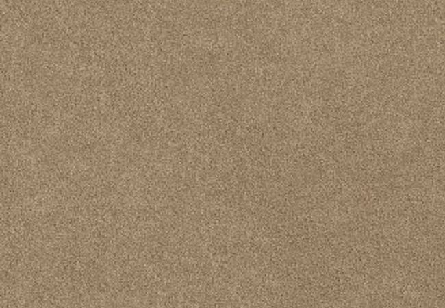 Anderson Tuftex Carpet Chapel Ridge Sandcastle