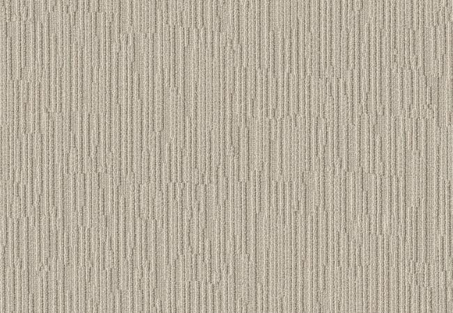 Anderson Tuftex Carpet Chase Birch