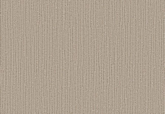 Anderson Tuftex Carpet Chase Briarwood