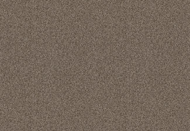Anderson Tuftex Carpet Chase Desert Palm