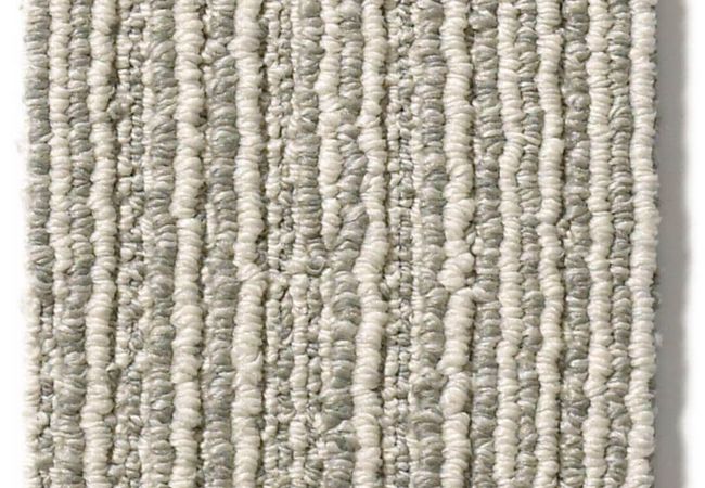 Anderson Tuftex Carpet Chase Oxford