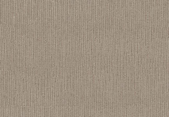 Anderson Tuftex Carpet Chase Russet