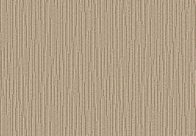 Anderson Tuftex Carpet Chase Sesame