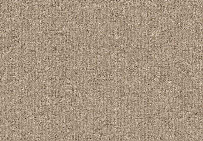 Anderson Tuftex Carpet Diego Parchment