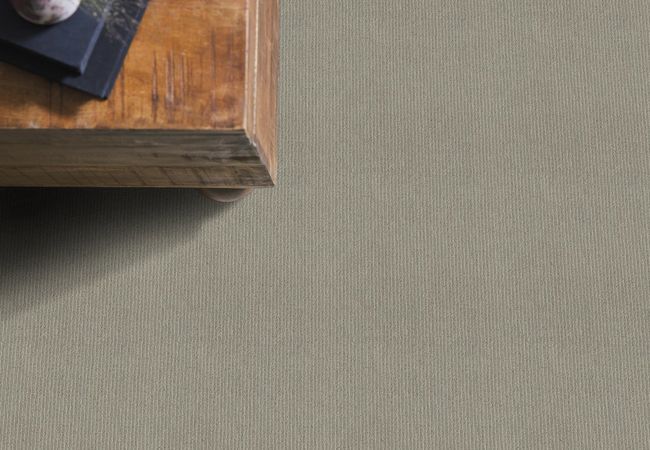 Anderson Tuftex Carpet Dynasty Charleston view 2