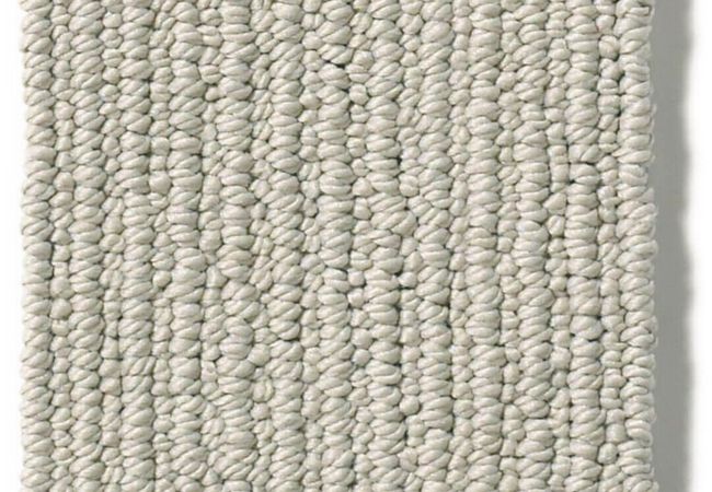 Anderson Tuftex Carpet Dynasty Dove Tail