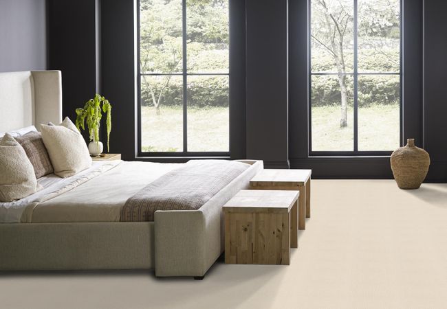 Anderson Tuftex Carpet Dynasty Flaxseed view 3