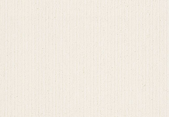 Anderson Tuftex Carpet Dynasty Froth