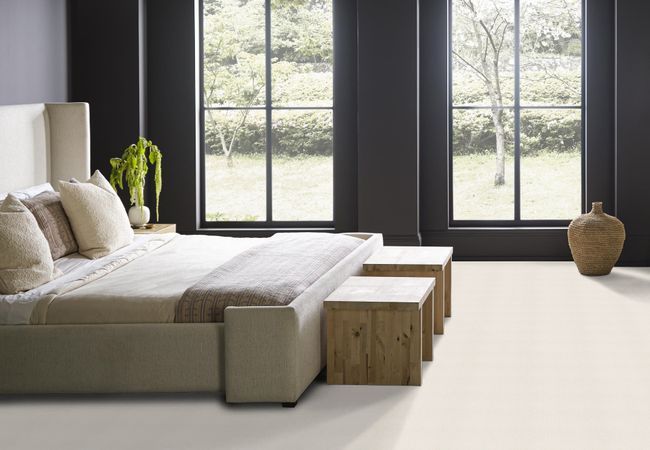 Anderson Tuftex Carpet Dynasty Home Plate view 2