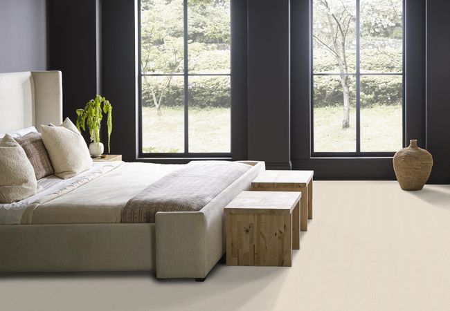 Anderson Tuftex Carpet Dynasty Marble Dust view 3