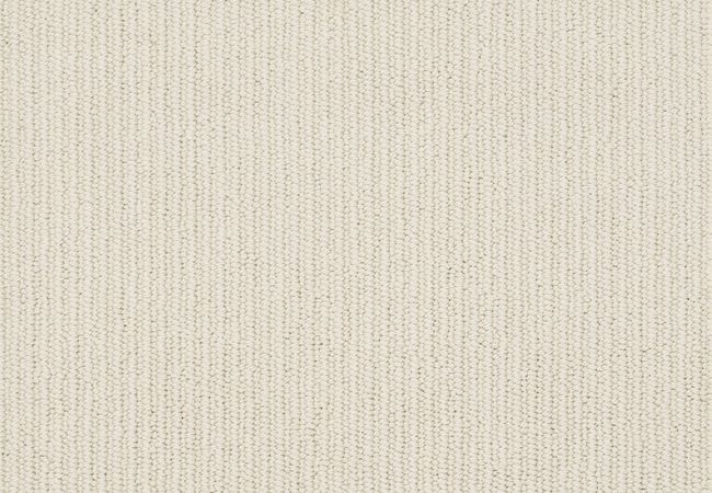 Anderson Tuftex Carpet Dynasty Shaded White