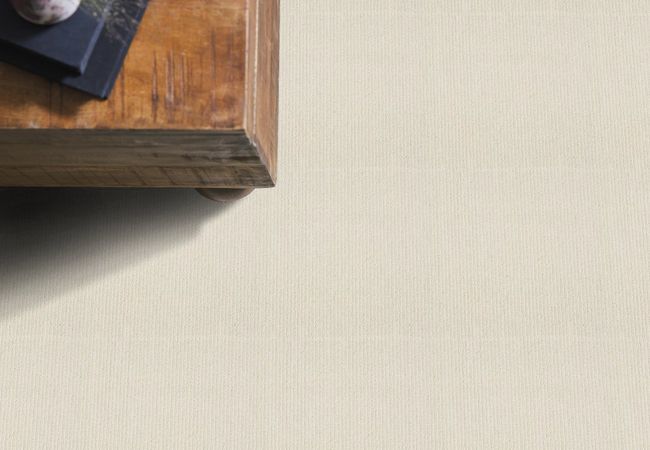 Anderson Tuftex Carpet Dynasty Shaded White view 2