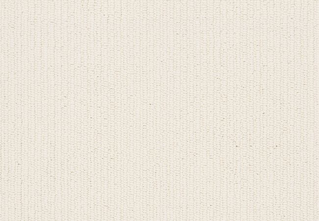 Anderson Tuftex Carpet Dynasty Solar