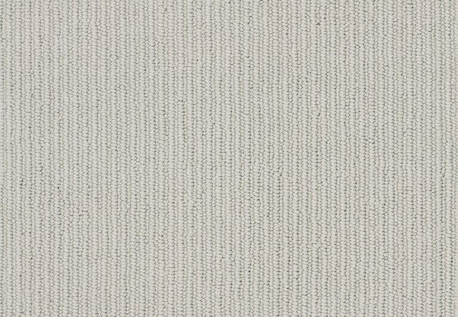 Anderson Tuftex Carpet Dynasty Whisper