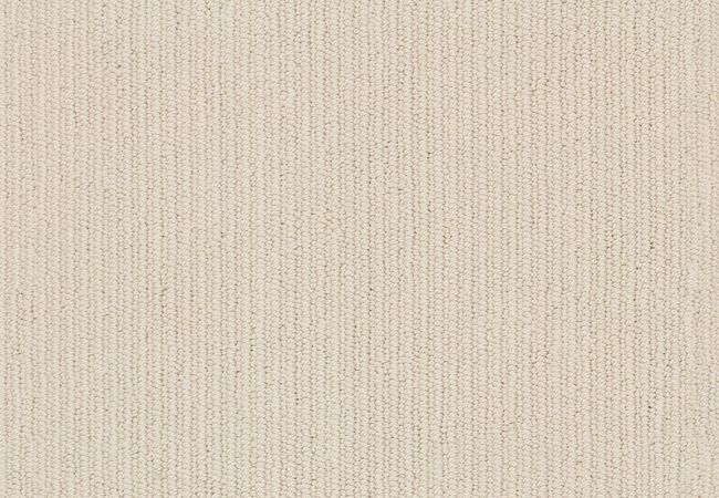 Anderson Tuftex Carpet Dynasty Winter Light