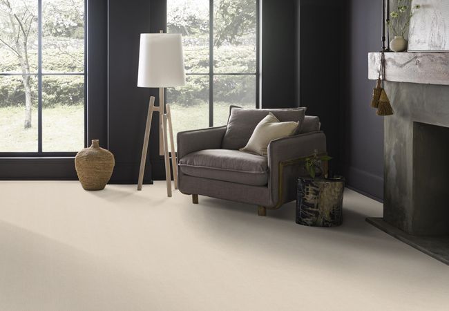 Anderson Tuftex Carpet Dynasty Winter Light view 2