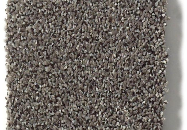 Anderson Tuftex Carpet Fair Isle Aluminum