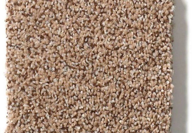 Anderson Tuftex Carpet Fair Isle Desert View