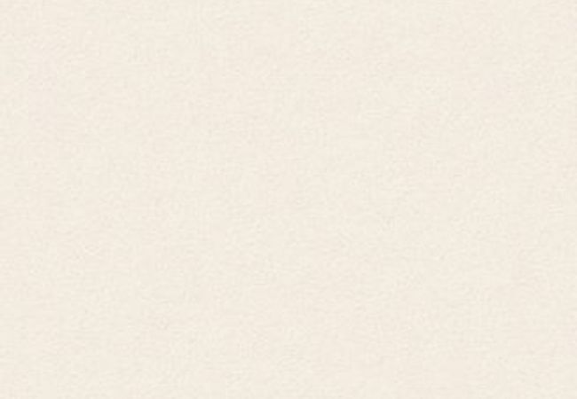 Anderson Tuftex Carpet Fair Isle French White