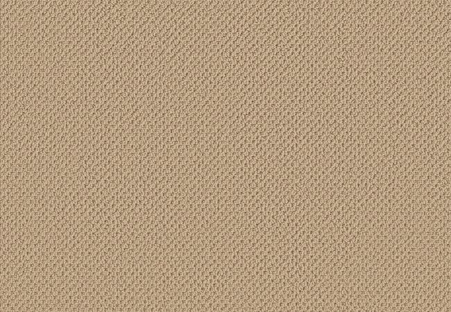 Anderson Tuftex Carpet Fair Isle Golden