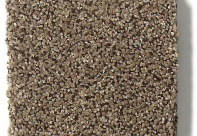 Anderson Tuftex Carpet Fair Isle Hearth