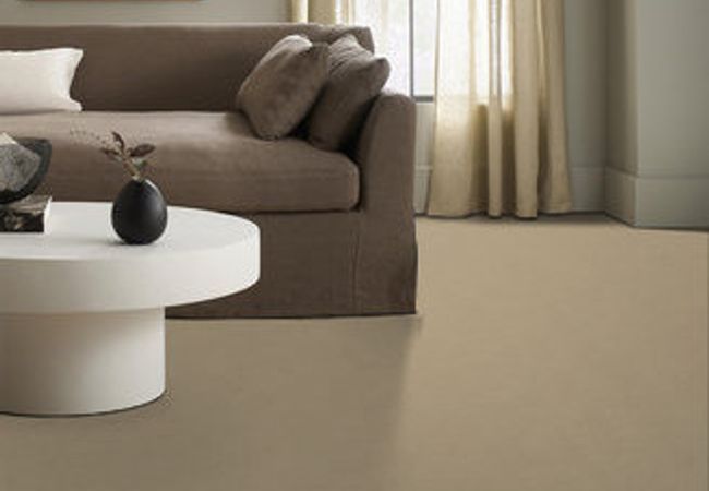 Anderson Tuftex Carpet Fair Isle Hiking Trail view 2