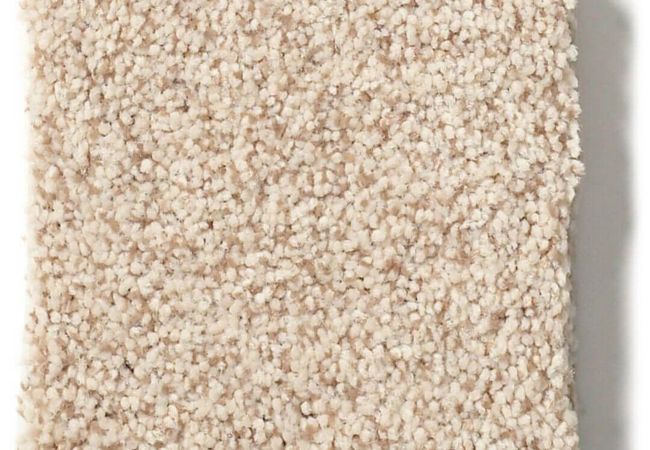 Anderson Tuftex Carpet Fair Isle Malibu Sun