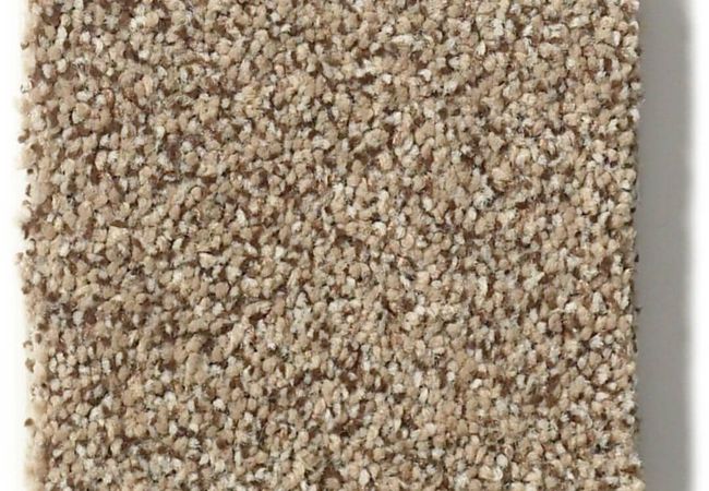 Anderson Tuftex Carpet Fair Isle Scenery