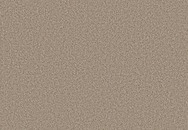 Anderson Tuftex Carpet Fair Isle Sugar Cookie