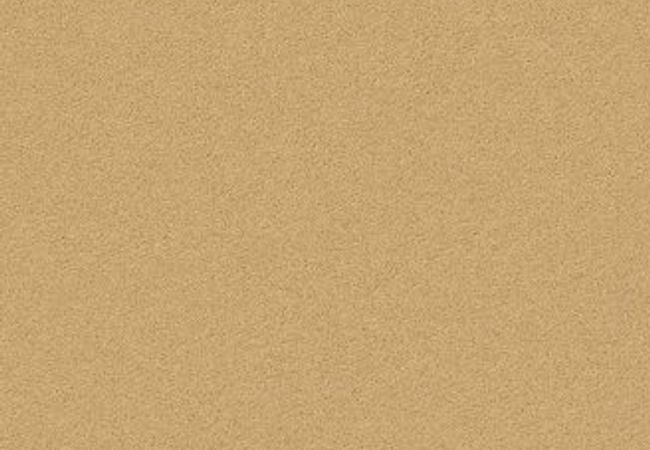 Anderson Tuftex Carpet Fair Isle Tawny Bisque