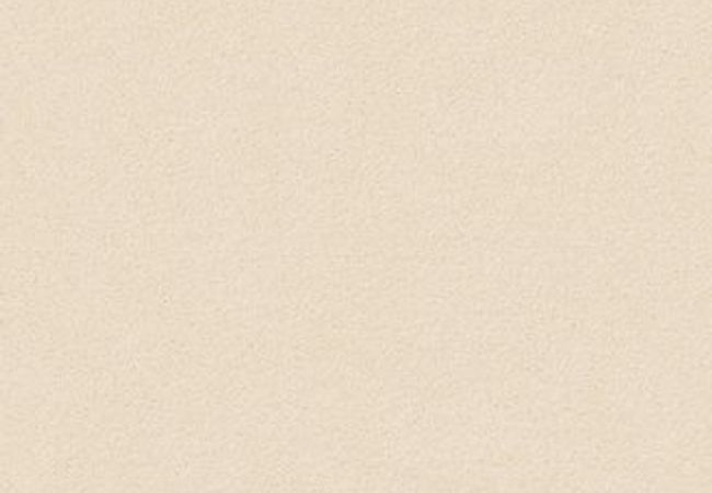 Anderson Tuftex Carpet Fair Isle Windswept