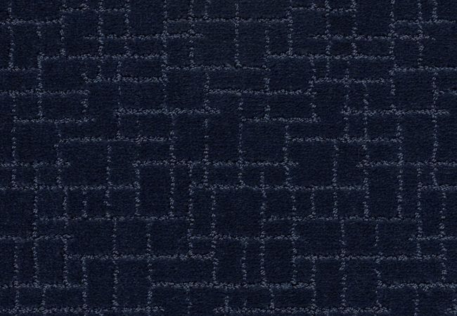 Anderson Tuftex Carpet Faux Paw Downpour