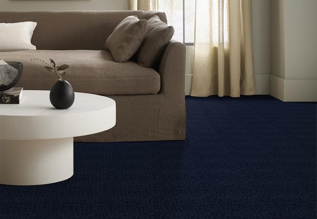 Anderson Tuftex Carpet Faux Paw Downpour view 2