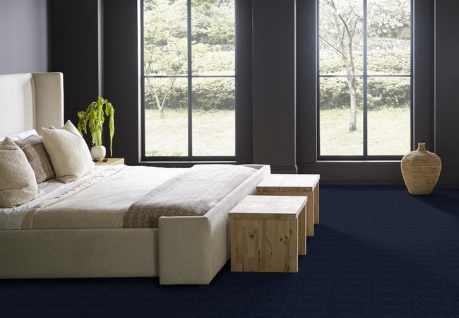 Anderson Tuftex Carpet Faux Paw Downpour view 3