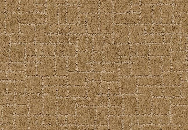 Anderson Tuftex Carpet Faux Paw Golden Straw