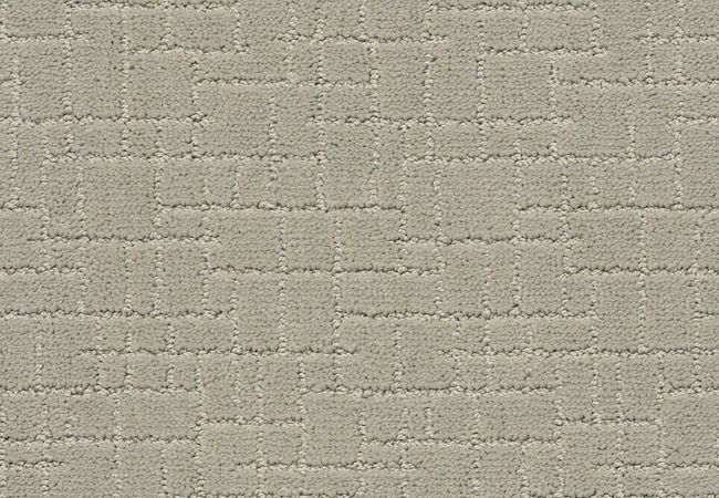 Anderson Tuftex Carpet Faux Paw Meditation