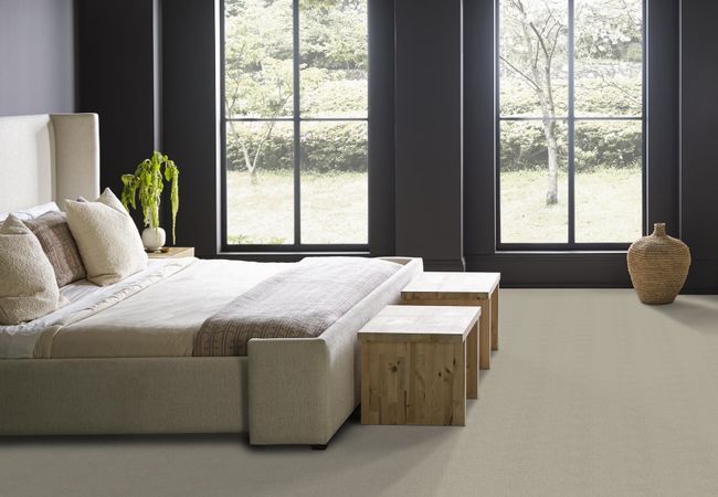 Anderson Tuftex Carpet Faux Paw Meditation view 3