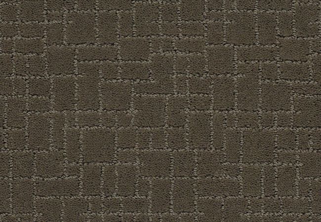 Anderson Tuftex Carpet Faux Paw Overcoat