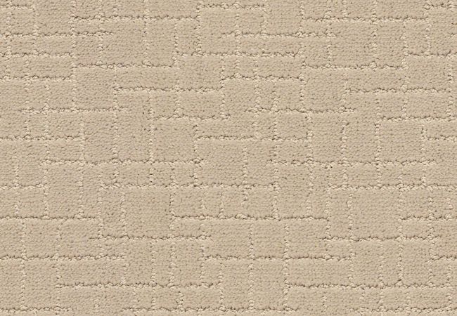 Anderson Tuftex Carpet Faux Paw Toffee Cream
